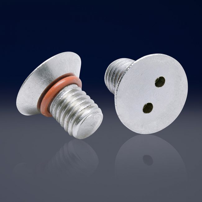 Tornillo de cabeza plana y encastre Spanner (dos orificios)
